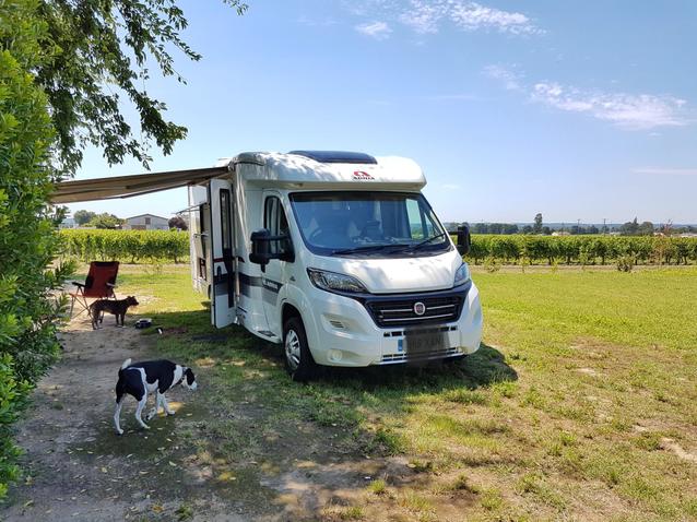 Afficher l’image source